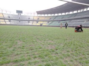 Beberapa pekerja tampak sibuk memelihara kesehatan rumput Stadion GBT, Surabaya.