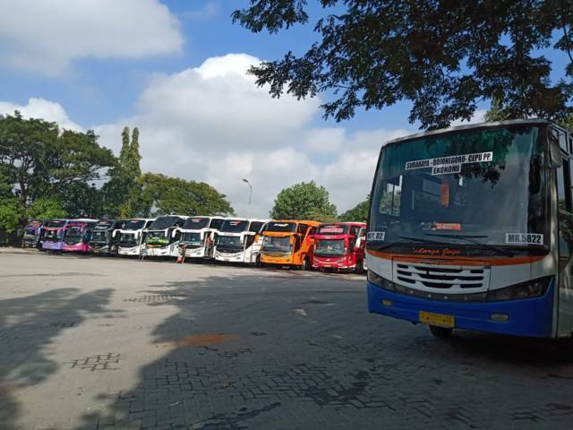 Bus yang terparkir di Terminal Rajekwesi Bojonegoro. (Foto: Mila Arinda/Tugu Jatim)