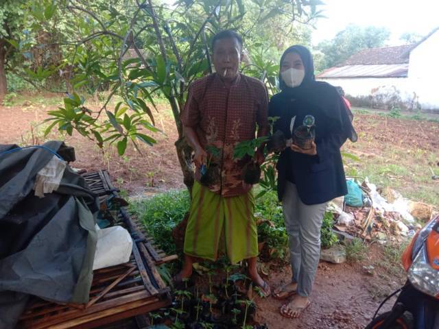 Mahasiswa KKN asal Universitas Negeri Malang (UM) saat melakukan pengembangan tanaman porang di Sumenep April lalu. (Foto: Dokumen) tugu jatim