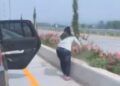 Viral, Perempuan Curi Bunga di Jalan Tol Malang