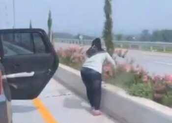 Viral, Perempuan Curi Bunga di Jalan Tol Malang
