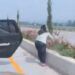 Viral, Perempuan Curi Bunga di Jalan Tol Malang 8 Viral, Perempuan Curi Bunga di Jalan Tol Malang