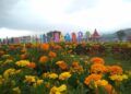 Taman Flora San Terra, Wisata Instagramable Ala Luar Negeri di Malang
