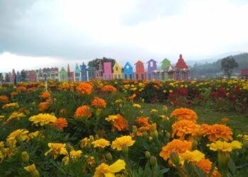 Taman Flora San Terra, Wisata Instagramable Ala Luar Negeri di Malang