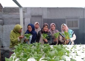 LP2M UIN Malang Berdayakan Perempuan Mandiri Pangan Lewat Mom’s Ponic Mergosono