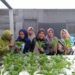 LP2M UIN Malang Berdayakan Perempuan Mandiri Pangan Lewat Mom's Ponic Mergosono 12 LP2M UIN Malang Berdayakan Perempuan Mandiri Pangan Lewat Mom’s Ponic Mergosono
