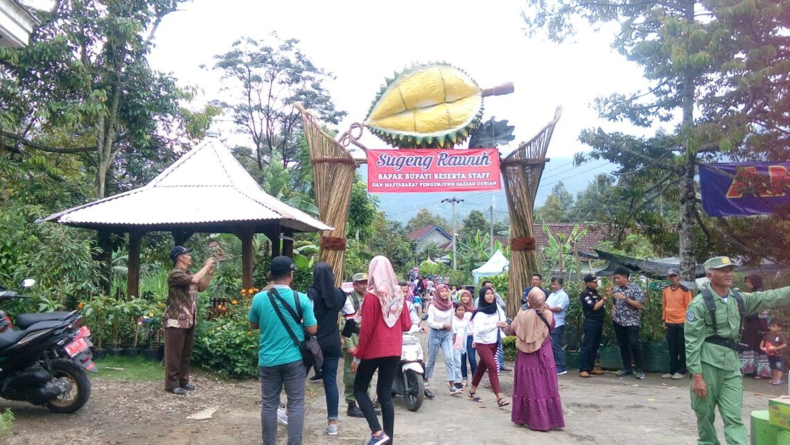Durian Kasian Jadi Nama Durian Kabupaten Malang 1 Foto: Himi Inaya