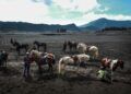Dampak Covid, Penutupan Kawasan Wisata Bromo Diperpanjang