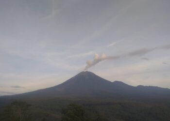 Semburkan Lava Pijar, Gunung Semeru Berstatus Waspada