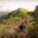 Paksa Muncak di Gunung Buthak Kota Batu, Seorang Pendaki Hilang 8 Paksa Muncak di Gunung Buthak Kota Batu, Seorang Pendaki Hilang