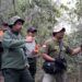 Janggal, Jasad Lutung Jawa di Hutan Lindung Malang Hilang saat Dievakuasi BKSDA