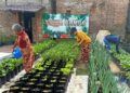 Omah Sayur, Lahan Kosong di Malang yang Disulap Warga Jadi Areal Pertanian Bersama