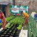 Omah Sayur, Lahan Kosong di Malang yang Disulap Warga Jadi Areal Pertanian Bersama