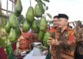 Momen Kemerdekaan, Pemkab Malang Dapat Kejutan dari Kementan