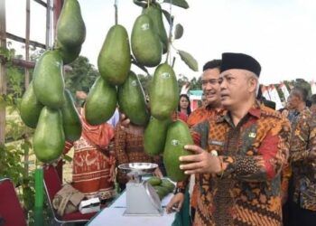 Momen Kemerdekaan, Pemkab Malang Dapat Kejutan dari Kementan