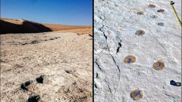 jejak manusia purba berusia 120.000 tahun