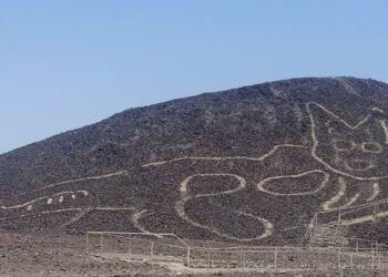 Gambar kucing raksasa di gurun pasir Nazca, Peru.