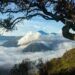 Pemandangan gunung bromo. Libur Panjang, Kunjungan ke Gunung Bromo Membeludak