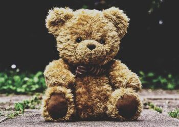 boneka teddy bear, sabu-sabu narkoba dalam boneka