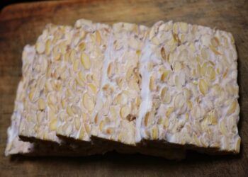 tempe asal indonesia dikenal di meksiko