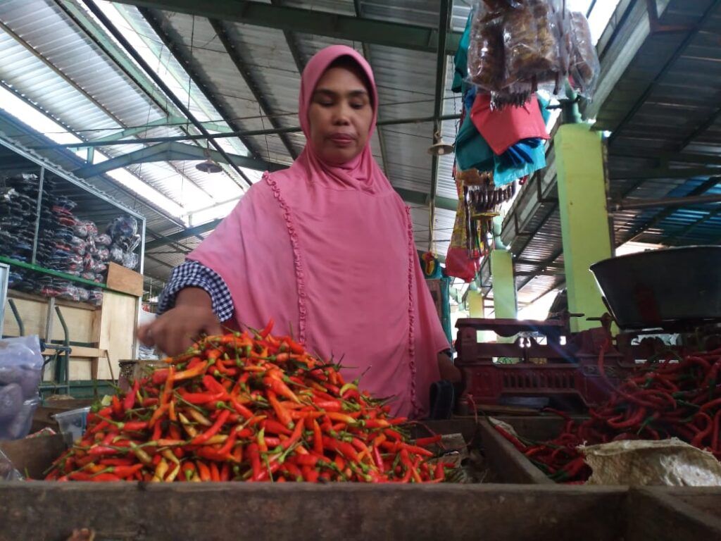 Ilustrasi pedagang cabai. (Foto: Moch Abdurrcohim/Tugu Jatim)