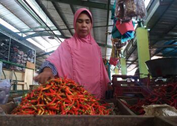 Jelang Akhir Tahun, Harga Cabai di Tuban Semakin "Pedas" 2 Ilustrasi pedagang cabai. (Foto: Moch Abdurrcohim/Tugu Jatim)