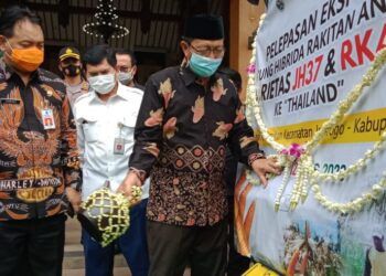Bupati Tuban Fathul Huda bersama Direktur Perbenihan Ditjen Tanaman Pangan Kementerian Pertanian (Kementan) Dr. Ir. Mohammad Takdir Mulyadi, MM., Asisten Perekonomian Pembangunan Pemprov Jawa Timur Dr. Ir. Jumadi. (Foto: Humas Pemkab Tuban) tuban ekspor jagung ke thailand