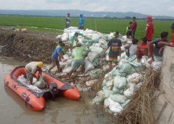 Perbaikan tanggul Sungai Ingas, Bojonegoro yang sempat jebol Senin (14/12) lalu dan mengakibatkan banjir. (Foto: Agus Setiawan/Tugu Jatim)