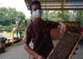 Bee Keeper Agro Tawon Wisata Petik Madu Lawang Hendro saat memperlihatkan sarang lebah madu yang menghasilkan propolis. (Foto:Rap/Tugu Jatim)