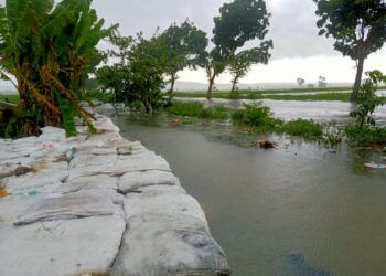 Warga membuat tanggul di Desa Plandirejo, Tuban, karena air meluap dan menimbulkan banjir. (Foto:Mila Arinda/Tugu Jatim)