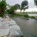 Warga membuat tanggul di Desa Plandirejo, Tuban, karena air meluap dan menimbulkan banjir. (Foto:Mila Arinda/Tugu Jatim)