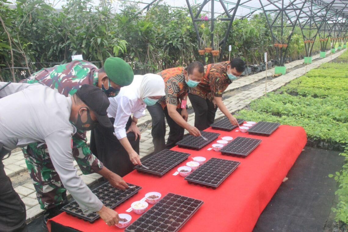 Ingin Kualitas Udara yang Baik, Bojonegoro Bangun Tempat Pembibitan Pohon Seluas 2,2 Hektare 1 Bupati Bojonegoro Anna Muawanah melakukan penanaman bibit pohon di pusat pembibitan pohon bersama DLH di Desa Sukowati, Kecamatan Kapas, Bojonegoro. (Foto: Humas Pemkab Bojonegoro/Tugu Jatim)