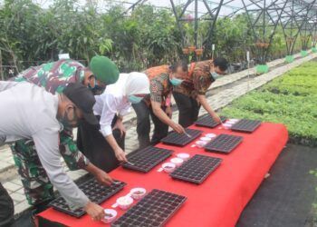 Ingin Kualitas Udara yang Baik, Bojonegoro Bangun Tempat Pembibitan Pohon Seluas 2,2 Hektare 1 Ingin Kualitas Udara yang Baik, Bojonegoro Bangun Tempat Pembibitan Pohon Seluas 2,2 Hektare