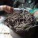 Ampo, makanan tradisional khas Tuban yang terbuat dari tanah liat. (Foto: Moch Abdurrochim/Tugu Jatim)