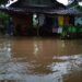 Banjir di wilayah Tuban yang merendam 2 desa. (Foto: Moch Abdurrochim/Tugu Jatim)