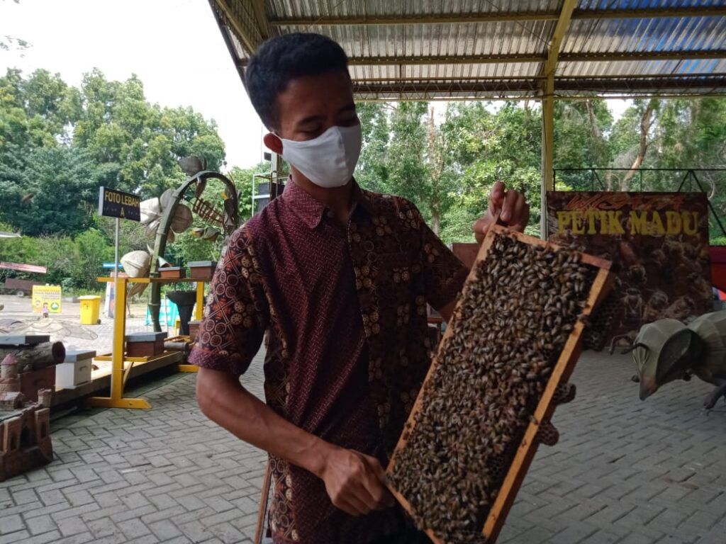 Agro Tawon Wisata Petik Madu Malang. (Foto: Rap/Tugu Malang/Tugu Jatim)