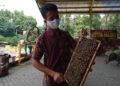 Agro Tawon Wisata Petik Madu Malang. (Foto: Rap/Tugu Malang/Tugu Jatim)