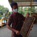 Belajar Beternak Lebah Madu di Agro Tawon Wisata Petik Madu Malang 8 Agro Tawon Wisata Petik Madu Malang. (Foto: Rap/Tugu Malang/Tugu Jatim)