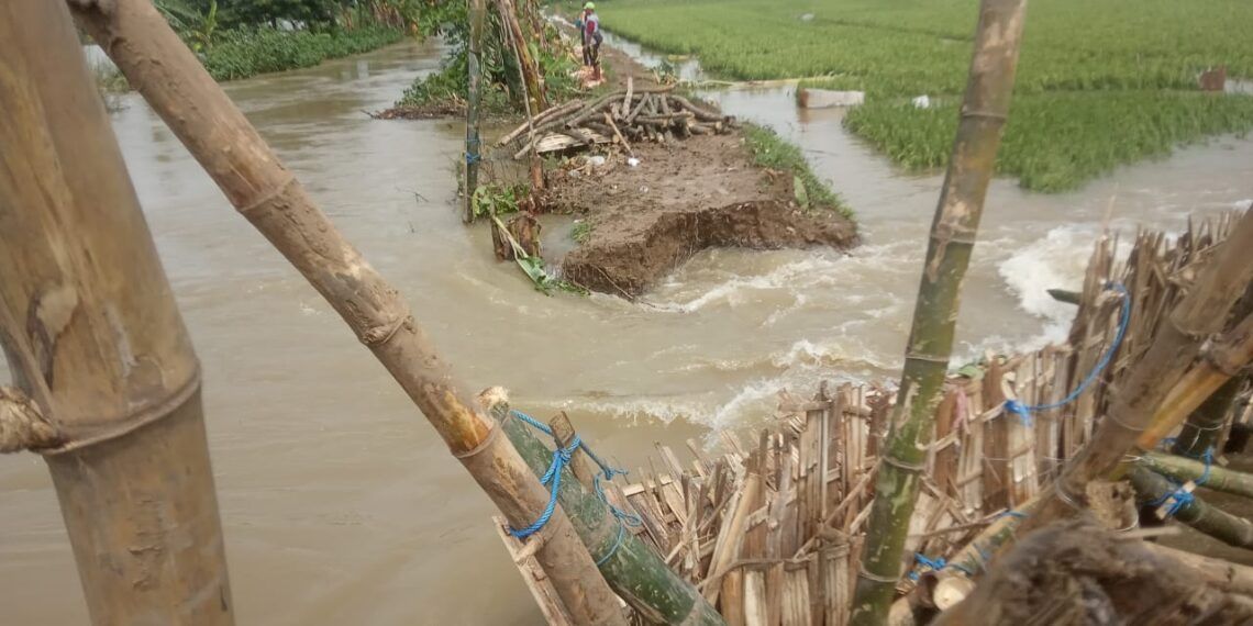 Tanggul Sungai Avour Jebol di 3 Titik usai Hujan Deras Guyur Tuban 1 Salah satu tanggul Sungai Avour Suru, Tuban yang jebol akibat hujan deras yang mengguyur Tuban sejak Minggu (24/1/2021) malam. (Foto: Agus Setiawan/Tugu Jatim)