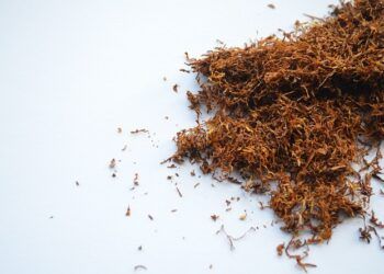 4 Rekomendasi Tembakau bagi 'Sekte' Tingwe 6 Ilustrasi rekomendasi tembakau untuk rokok tingwe. (Foto: Pixabay) tugu jatim