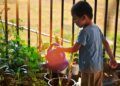 Ada beberapa hal yang wajib diketahui oleh orang tua dalam mengawasi tumbuh kembang anak agar tumbuh maksimal. (Foto: Pixabay)