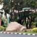 Watu Semar, ikon batu raksasa di depan Alun-Alun Bojonegoro. (Foto: Mila Arinda/Tugu Jatim)