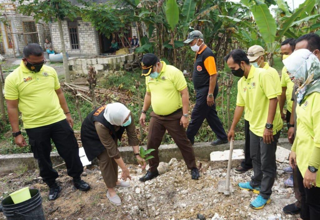 Bupati Bojonegoro bersama jajarannya dan PWI melakukan penanaman pohon di sepanjang Jalan Desa Semanding, Kecamatan Bojonegoro, Kabupaten Bojonegoro, saat Hari Pers Nasional. (Foto: Mila Arinda/Tugu Jatim)