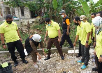 Bupati Bojonegoro bersama jajarannya dan PWI melakukan penanaman pohon di sepanjang Jalan Desa Semanding, Kecamatan Bojonegoro, Kabupaten Bojonegoro, saat Hari Pers Nasional. (Foto: Mila Arinda/Tugu Jatim)