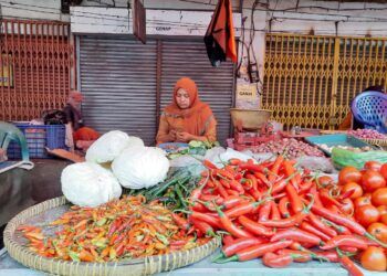 Harga Cabai Rawit di Kota Malang Tembus Rp 110 Ribu per Kilogram