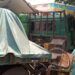 Truk Trailer Bermuatan Baja Sruduk Rumah Warga dan Klinik Mata di Tuban 9 Kendaraan truk trailer yang masih menancap di rumah warga setelah mengalami kecelakaan tunggal di Jalan Tuban-Semarang, Desa Sugihwaras, Kecamatan Jenu, Tuban. (Foto: Rochim/Tugu Jatim)