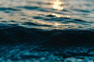 5 Fakta Mengenai Lautan yang 95 Persen Belum Terjamah Manusia
