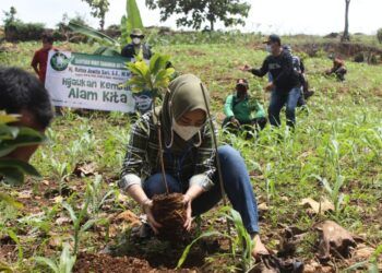 Anggota Komisi VII Dewan Perwakilan Rakyat Republik Indonesia (DPR RI) Ratna Juwita Sari saat menanam pohon di Desa Ngino, Kecamatan Semanding, Tuban, Sabtu (13/2/2021) lalu. (Foto: Dokumen/DPR RI Komisi VII) tugu jatim