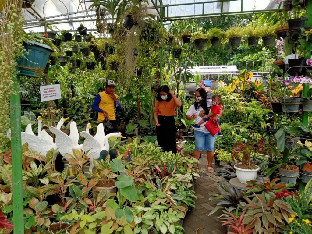 Pembeli sedang memilih tanaman di toko bunga Bagus Indah Tri Aulia (BITA) di Jl.Veteran Bojonegoro. (Foto: Mila Arinda/Tugu Jatim)