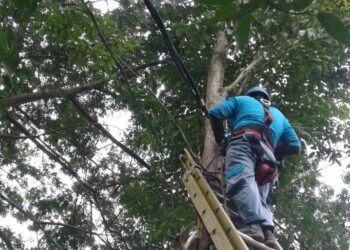 Kabel PLN Putus, Warga Manisrenggo Kediri Tak Dialiri Listrik selama 24 Jam 9 Petugas PLN Unit Ngadiluwih sedang memperbaiki kabel putus di Manisrenggo. (Foto: Noe/Tugu Jatim)